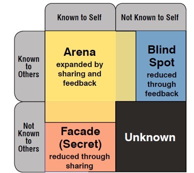 Arena Johari Window